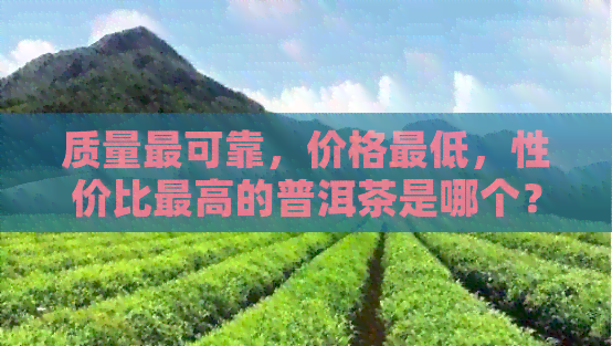 质量最可靠，价格更低，性价比更高的普洱茶是哪个？