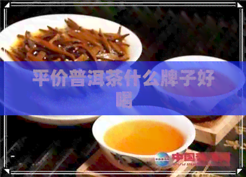 平价普洱茶什么牌子好喝