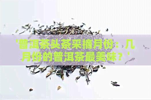 '普洱茶头茶采摘月份：几月份的普洱茶最美味？'