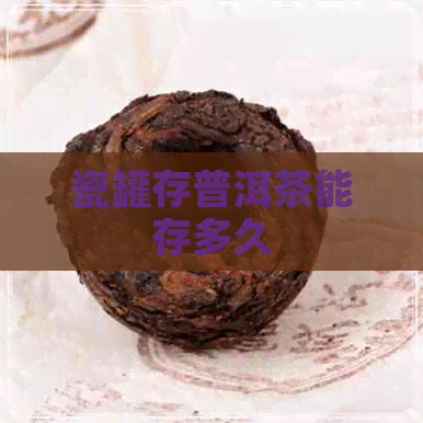 瓷罐存普洱茶能存多久