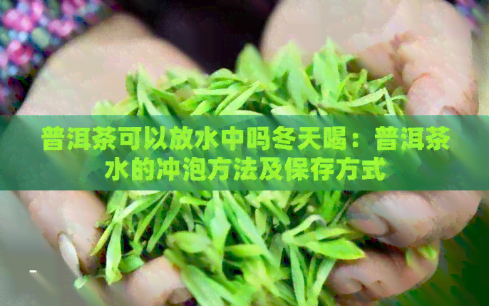 普洱茶可以放水中吗冬天喝：普洱茶水的冲泡方法及保存方式