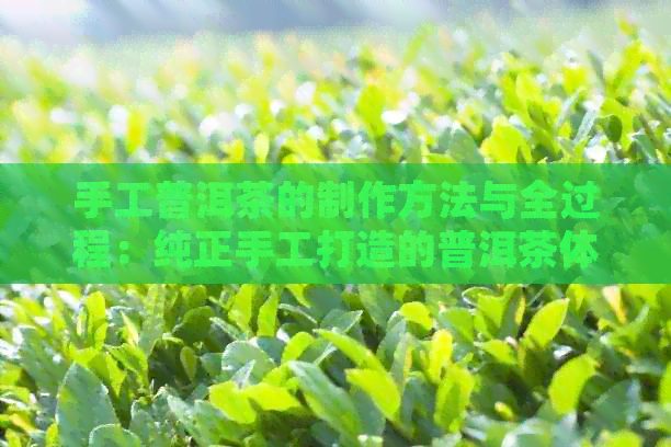 手工普洱茶的制作方法与全过程：纯正手工打造的普洱茶体验