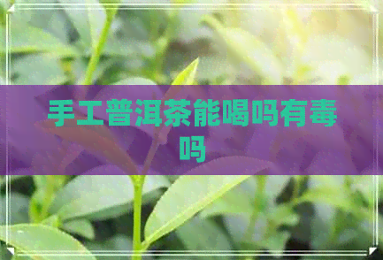 手工普洱茶能喝吗有吗