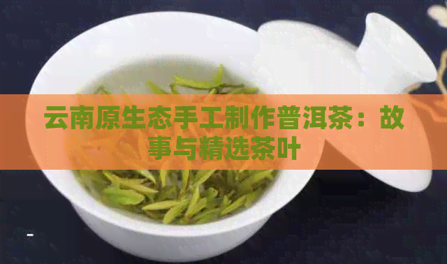 云南原生态手工制作普洱茶：故事与精选茶叶