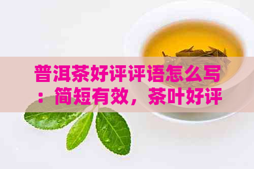 普洱茶好评评语怎么写：简短有效，茶叶好评如何表达？