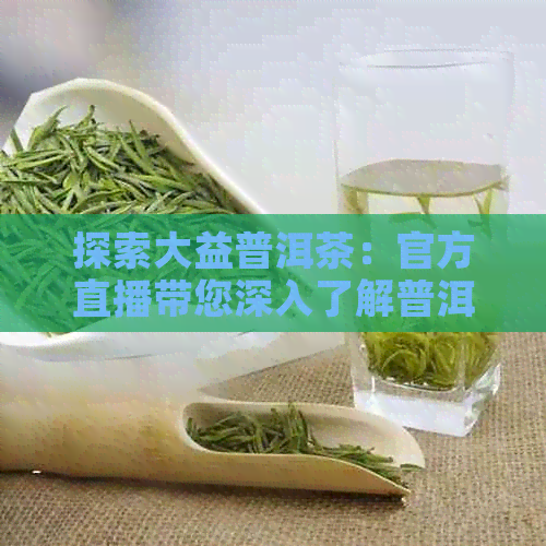 探索大益普洱茶：官方直播带您深入了解普洱茶行情与制作工艺