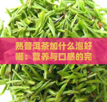 熟普洱茶加什么泡好喝：营养与口感的完美结合