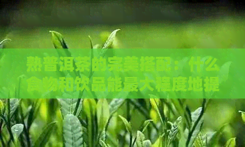 熟普洱茶的完美搭配：什么食物和饮品能更大程度地提升口感？