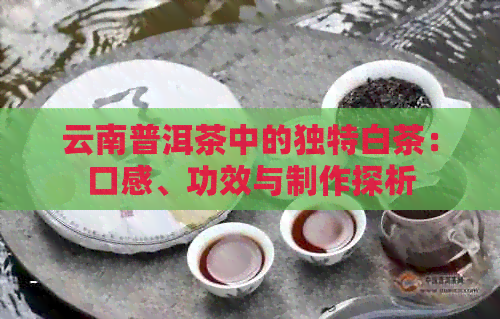 云南普洱茶中的独特白茶：口感、功效与制作探析