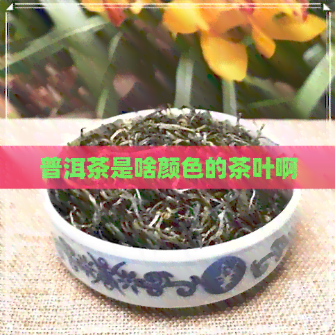 普洱茶是啥颜色的茶叶啊