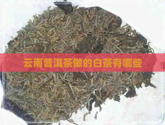 云南普洱茶做的白茶有哪些