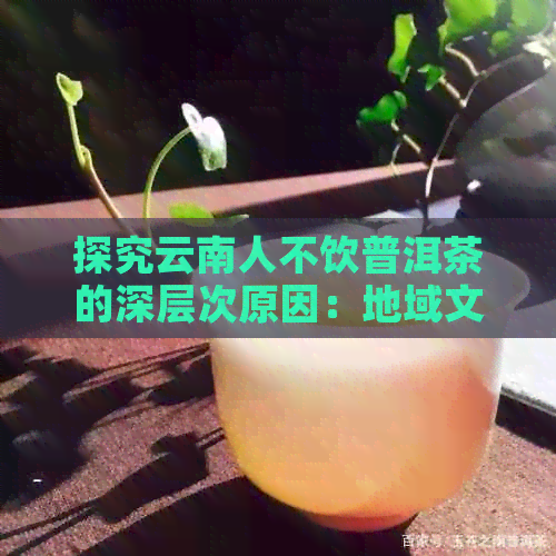 探究云南人不饮普洱茶的深层次原因：地域文化与口感偏好的对比分析