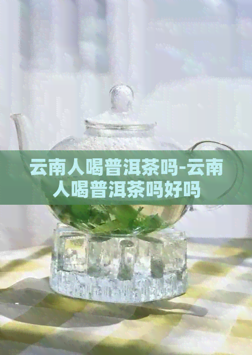 云南人喝普洱茶吗-云南人喝普洱茶吗好吗