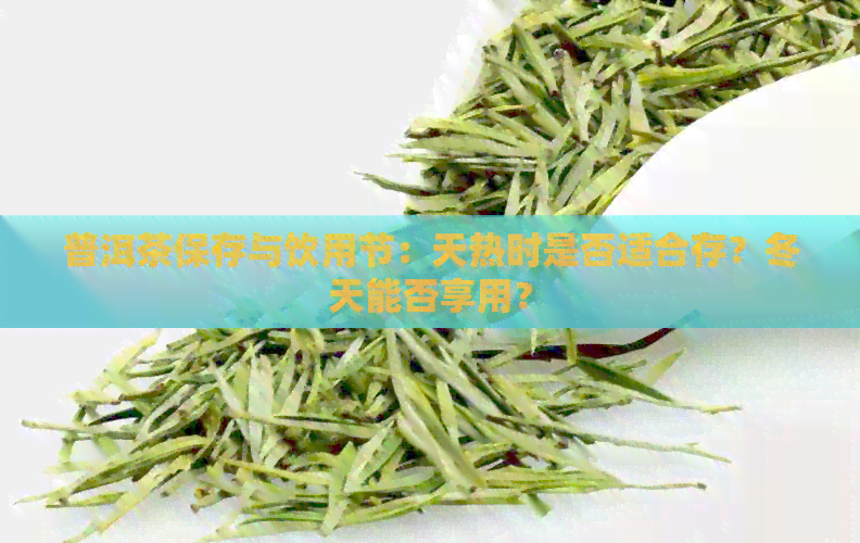 普洱茶保存与饮用节：天热时是否适合存？冬天能否享用？