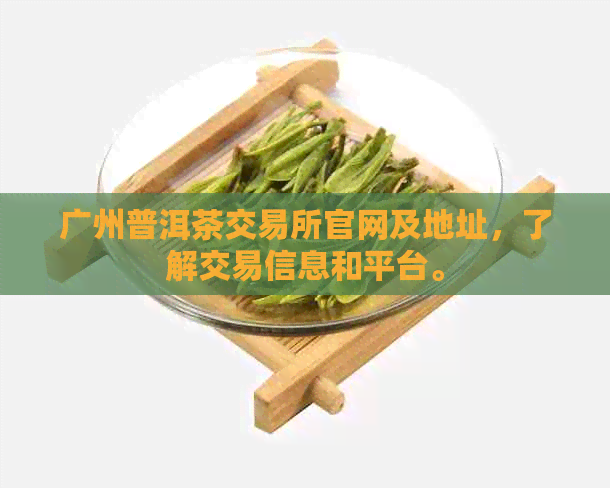 广州普洱茶交易所官网及地址，了解交易信息和平台。