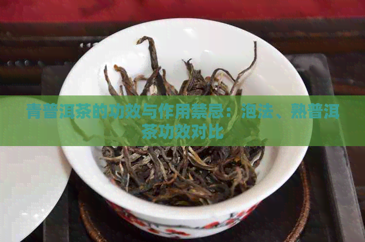 青普洱茶的功效与作用禁忌：泡法、熟普洱茶功效对比