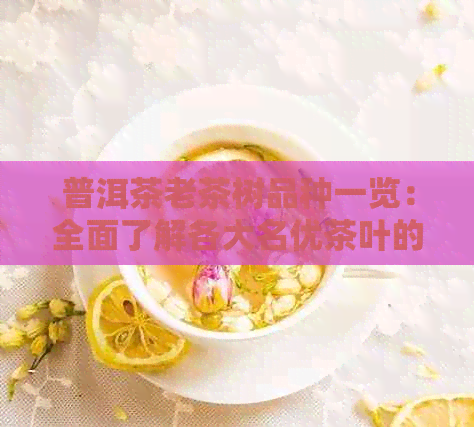 普洱茶老茶树品种一览：全面了解各大名优茶叶的来源与特点