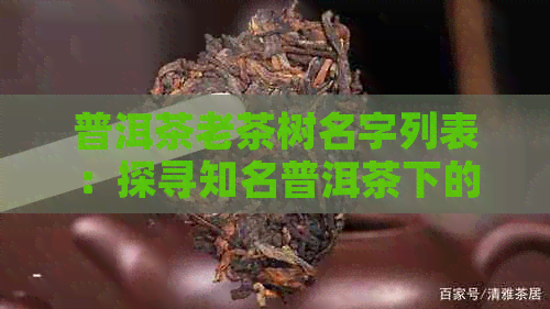 普洱茶老茶树名字列表：探寻知名普洱茶下的老茶树大盘点