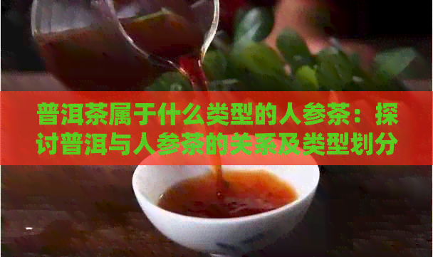 普洱茶属于什么类型的人参茶：探讨普洱与人参茶的关系及类型划分