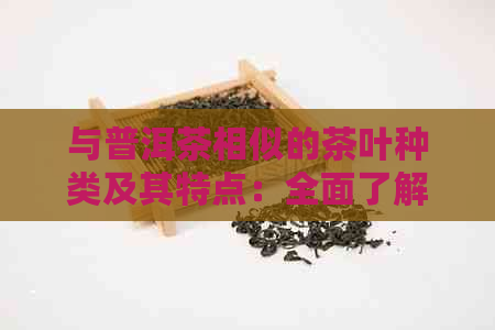 与普洱茶相似的茶叶种类及其特点：全面了解这些神奇的茶类