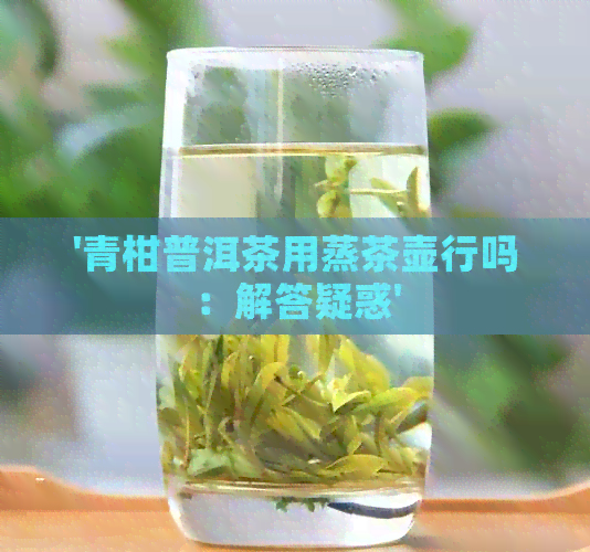 '青柑普洱茶用蒸茶壶行吗：解答疑惑'