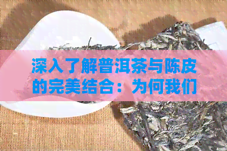 深入了解普洱茶与陈皮的完美结合：为何我们需要在普洱茶中加入陈皮？