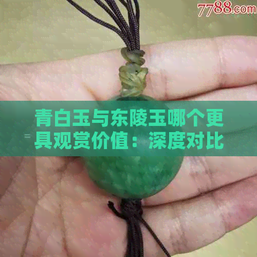 青白玉与东陵玉哪个更具观赏价值：深度对比分析