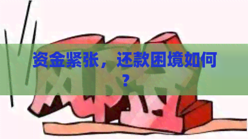 资金紧张，还款困境如何？