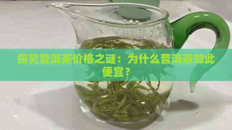 探究普洱茶价格之谜：为什么普洱茶如此便宜？