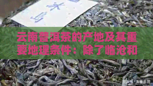 云南普洱茶的产地及其重要地理条件：除了临沧和西双版纳，还有哪些地区？