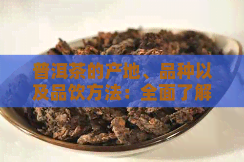 普洱茶的产地、品种以及品饮方法：全面了解这一中国名茶