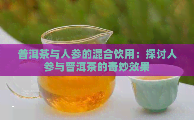 普洱茶与人参的混合饮用：探讨人参与普洱茶的奇妙效果