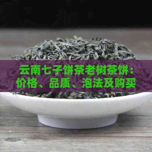 云南七子饼茶老树茶饼：价格、品质、泡法及购买指南，一次解决您的所有疑问