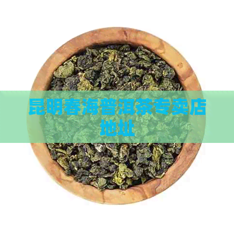 昆明春海普洱茶专卖店地址