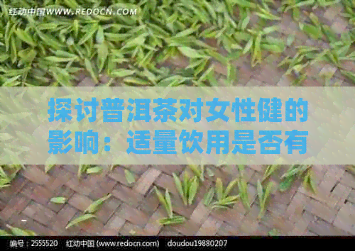 探讨普洱茶对女性健的影响：适量饮用是否有助于减肥？