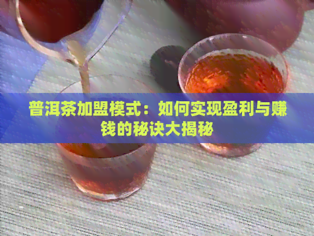 普洱茶加盟模式：如何实现盈利与赚钱的秘诀大揭秘