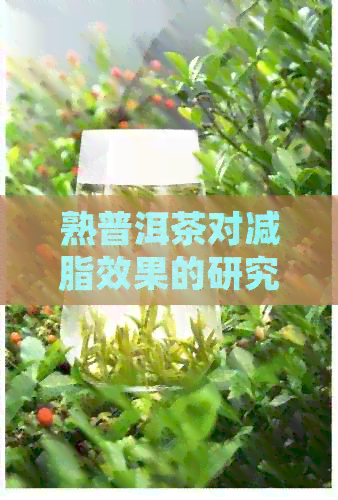 熟普洱茶对减脂效果的研究与实践：一份全面的指南