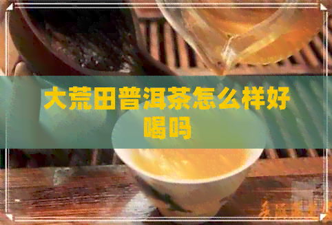 大荒田普洱茶怎么样好喝吗