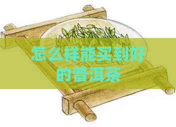 怎么样能买到好的普洱茶