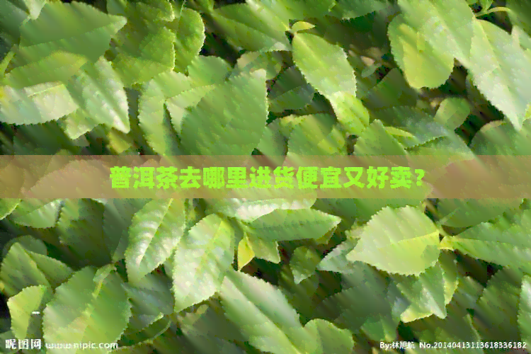 普洱茶去哪里进货便宜又好卖？