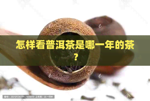 怎样看普洱茶是哪一年的茶？