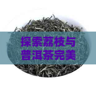 探索荔枝与普洱茶完美搭配的口感与功效之旅