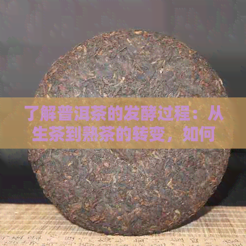 了解普洱茶的发酵过程：从生茶到熟茶的转变，如何鉴别与品鉴熟茶？