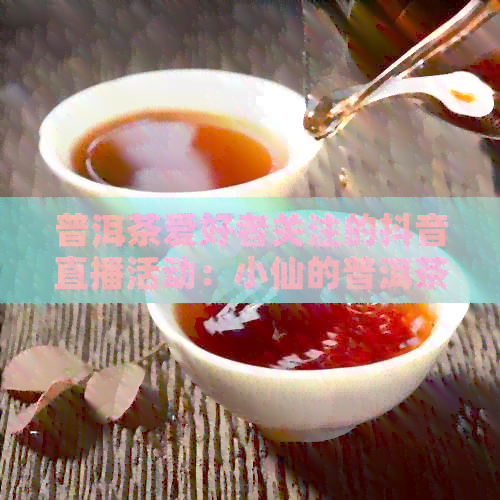 普洱茶爱好者关注的抖音直播活动：小仙的普洱茶分享是真的吗？