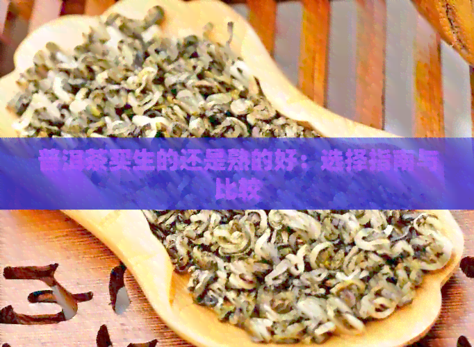 普洱茶买生的还是熟的好：选择指南与比较