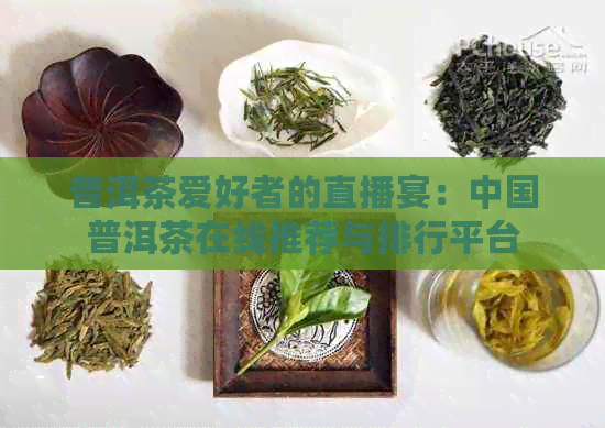 普洱茶爱好者的直播宴：中国普洱茶在线推荐与排行平台