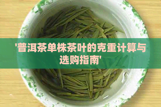 '普洱茶单株茶叶的克重计算与选购指南'