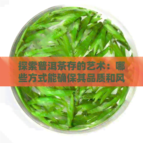 探索普洱茶存的艺术：哪些方式能确保其品质和风味？