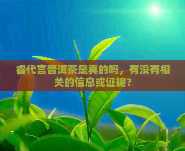 睿代言普洱茶是真的吗，有没有相关的信息或证据？