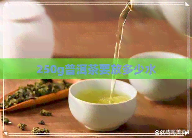 250g普洱茶要放多少水